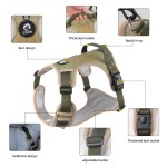 Pet Leash Manufacturer - Padded Chest Strap Explosion-Proof