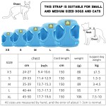 Dog Traction Rope Manufacturer - Breathable Reflective Polyester Vest