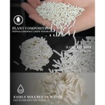 Tofu Cat Litter Supplier - Flushable Natural Plants Wholesale