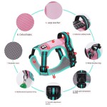 Dog Harness Factory - Outdoor Breathable Waterproof Traction