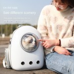 Pet Transparent Bag Factory - Fashionable Double Shoulder Side Opening