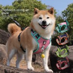 Dog Harness Factory - Outdoor Breathable Waterproof Traction