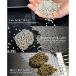 Bentonite Cat Litter Manufacturer - Strong Clumping Dust Free OEM