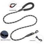 Pet Leash Supplier - Reflective Nylon Multi-Color Walking