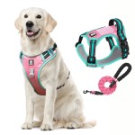 Dog Harness Factory - Outdoor Breathable Waterproof Traction