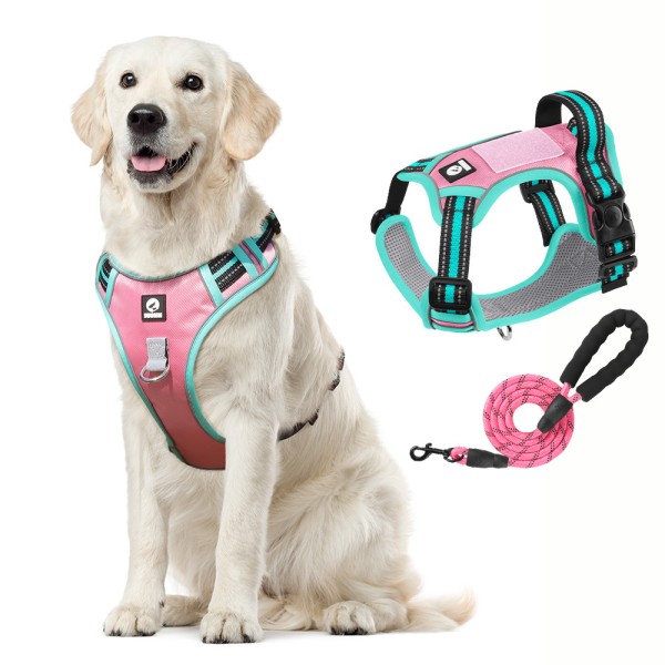 Dog Harness Factory - Outdoor Breathable Waterproof Traction