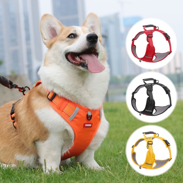 Pet Traction Rope Supplier - Vest Harness Explosion-Proof