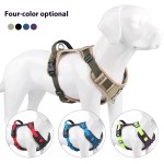 Pet Leash Manufacturer - Padded Chest Strap Explosion-Proof