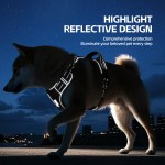 Dog Harness Factory - Outdoor Breathable Waterproof Traction