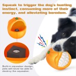 Dog Interactive Toy Supplier - Halloween TPR Ball Squeak Orange Chew Toy