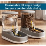 Portable Pet Water Fountain Supplier - Plastic Bowl 3.8L Travel No Battery