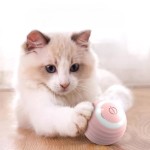 Luminous Cat Ball Factory - Gravity Electric Bite-Resistant Grinding Teeth Toy