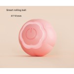 Interactive Pet Toy Supplier - Rolling Ball with Tunnel Durable Plastic Fun