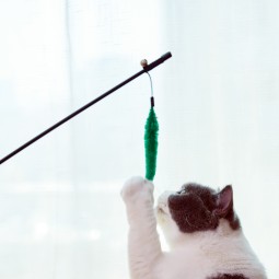 Cat Teasing Stick Supplier - Suction Cup Feather Bell Long Stick Anti-bite