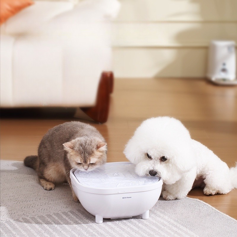 Wireless Pet Water Dispenser Manufacturer - 6L Large Capacity Disinfection Sterilization