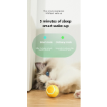 Smart Cat Ball Supplier - Automatic Rolling Indoor Interactive Silicone Toy