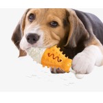 Dog Chew Toy Manufacturer - Turkey Leg Shaped TPR Teeth Grinding Sustainable