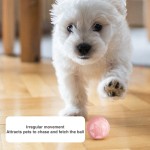 Interactive Pet Toy Factory - Durable Rolling Ball Sustainable Silicone Playful