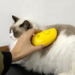 Cat Steam Hair Brush Manufacturer - 3-in-1 Self-Cleaning Sustainable Grooming Tool