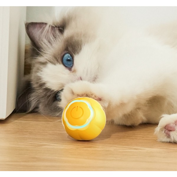 Interactive Pet Toy Factory - Durable Rolling Ball Sustainable Silicone Playful