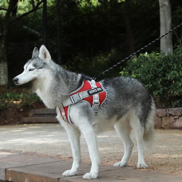 Dog Harness Manufacturer - Breathable No-Pull Reflective Adjustable Large Breed