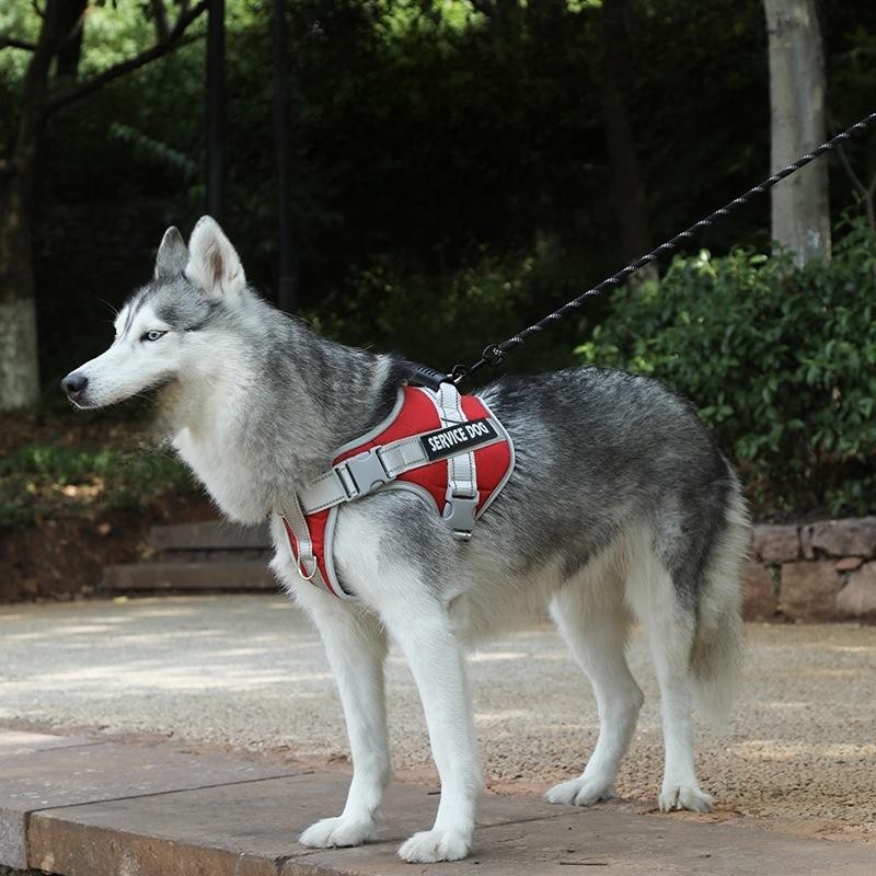 Dog Harness Manufacturer - Breathable No-Pull Reflective Adjustable Large Breed