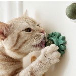 Cat Mint Ball Manufacturer - Sustainable Plastic Wall Catnip Licking Toy
