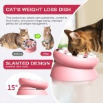 Slow Feeder Dog Bowl Supplier - High Quality Safe Weight Loss Digestive Health