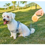 Automatic Pet Leash Manufacturer - 3m USB Rechargeable LED Light Dog Cat