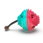 Dog Chew Toy Factory - Natural Rubber Smart Ball Bite Leakage Food Ball