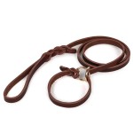 Leather Dog Leash Factory - Personalized Braided Cow Hide Padded Collar