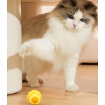 Smart Cat Ball Supplier - Automatic Rolling Indoor Interactive Silicone Toy