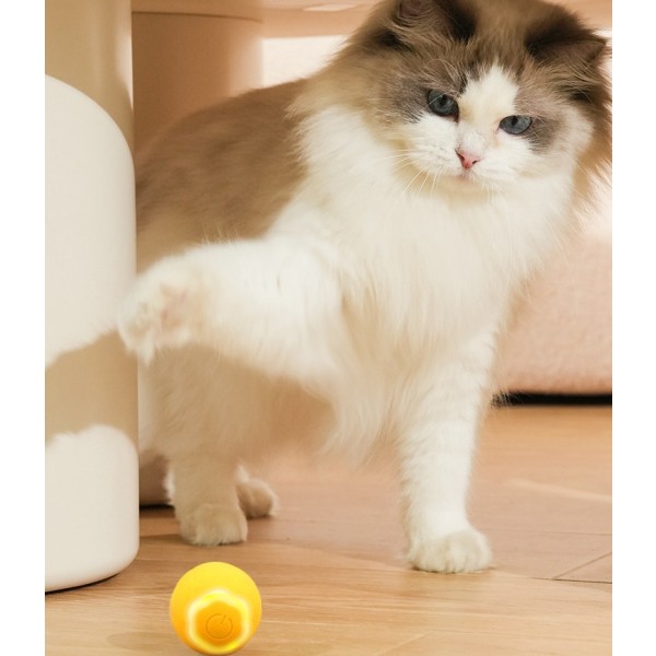 Smart Cat Ball Supplier - Automatic Rolling Indoor Interactive Silicone Toy