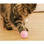 Interactive Pet Toy Supplier - Rolling Ball with Tunnel Durable Plastic Fun