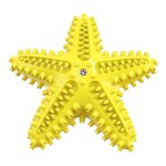 Pet Squeaky Toy Factory - Starfish Shape Tooth Cleaning Bite Resistant Dog Toy