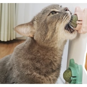 Detachable Catnip Balls Supplier - Sustainable Anxiety Relieve Cat Lick Toy