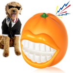 Dog Interactive Toy Supplier - Halloween TPR Ball Squeak Orange Chew Toy