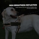 Dog Harness Set Factory - Luxury Simple Nylon Camouflage