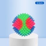 Dog Ball Manufacturer - Light Up Flashing Glow Interactive