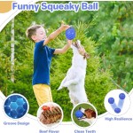 Dog Chew Toy Manufacturer - Honeycomb Tough Rubber Squeaky