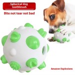 Dog Toothbrush Toy Factory - Eco-Friendly TPR Resilient Spherical