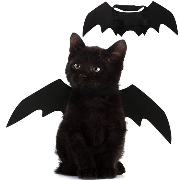 Pet Accessories Supplier - Bat Wing Pumpkin Jingle Bells