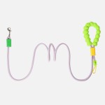 Dog Leash Supplier - Premium Nylon 4 in 1 Adjustable
