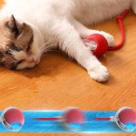 Cat Toy Ball Supplier - Silicone Interactive Obstacle Avoidance
