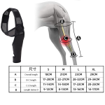 Pet Leg Protectors Manufacturer - Knee Surgery Protective Braces