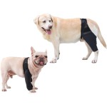 Pet Leg Protectors Manufacturer - Knee Surgery Protective Braces