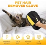 Pet Hair Remover Brush Supplier - Electrostatic Washable Glove