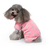 Pet Winter Coat Manufacturer - Cute Christmas Coral Fleece Plush