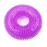 Dog Chew Toys Manufacturer - TPR Indestructible Squeaky Ring