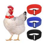 Rooster Collar Manufacturer - Anti Noise Nylon Neck Belt